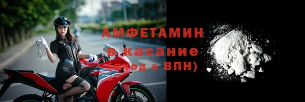 сатива Верея
