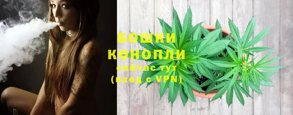 сатива Верея
